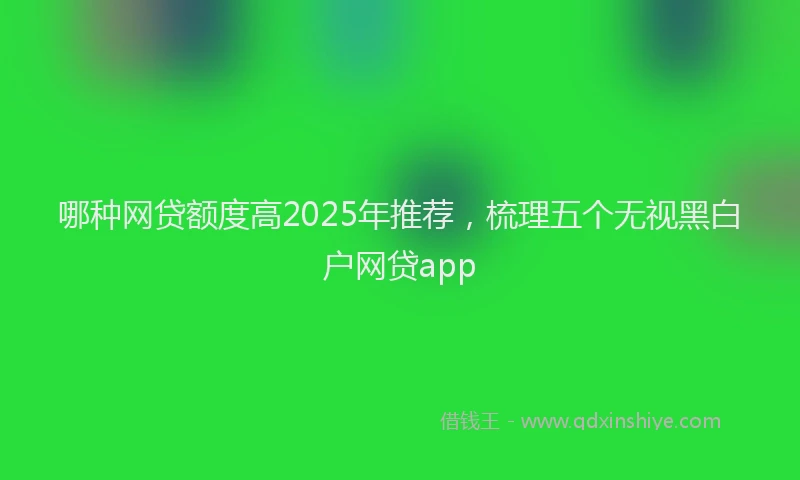 哪种网贷额度高2025年推荐，梳理五个无视黑白户网贷app