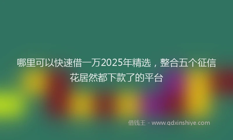 哪里可以快速借一万2025年精选，整合五个征信花居然都下款了的平台