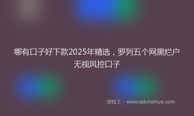 哪有口子好下款2025年精选，罗列五个网黑烂户无视风控口子