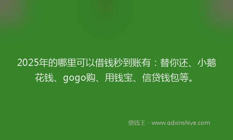 2025年的哪里可以借钱秒到账有：替你还、小鹅花钱、gogo购、用钱宝、信贷钱包等。
