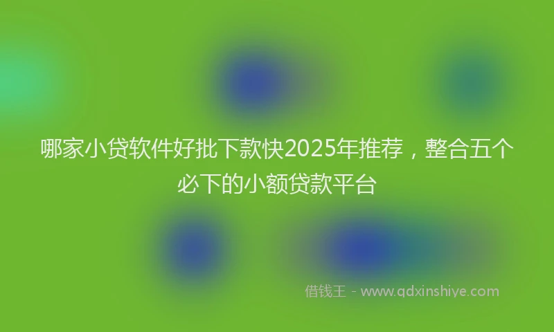 哪家小贷软件好批下款快2025年推荐，整合五个必下的小额贷款平台