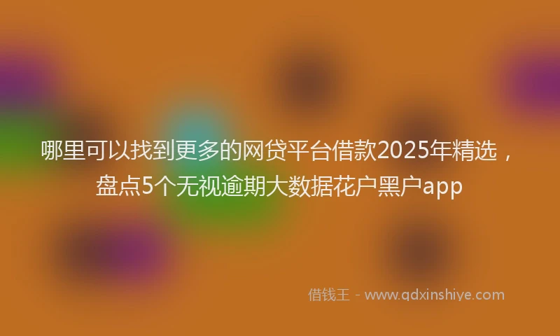 哪里可以找到更多的网贷平台借款2025年精选，盘点5个无视逾期大数据花户黑户app