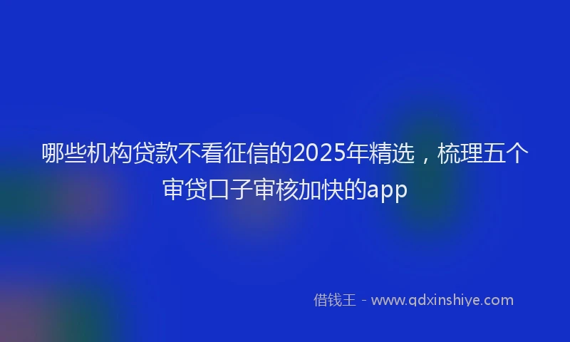 哪些机构贷款不看征信的2025年精选，梳理五个审贷口子审核加快的app
