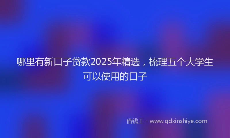 哪里有新口子贷款2025年精选，梳理五个大学生可以使用的口子