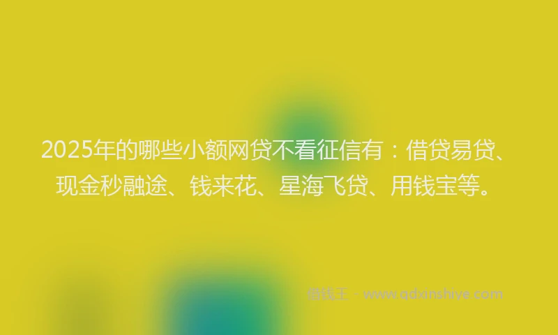 2025年的哪些小额网贷不看征信有：借贷易贷、现金秒融途、钱来花、星海飞贷、用钱宝等。
