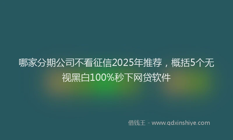 哪家分期公司不看征信2025年推荐，概括5个无视黑白100%秒下网贷软件