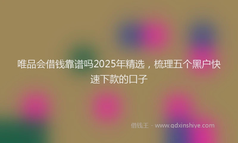 唯品会借钱靠谱吗2025年精选，梳理五个黑户快速下款的口子