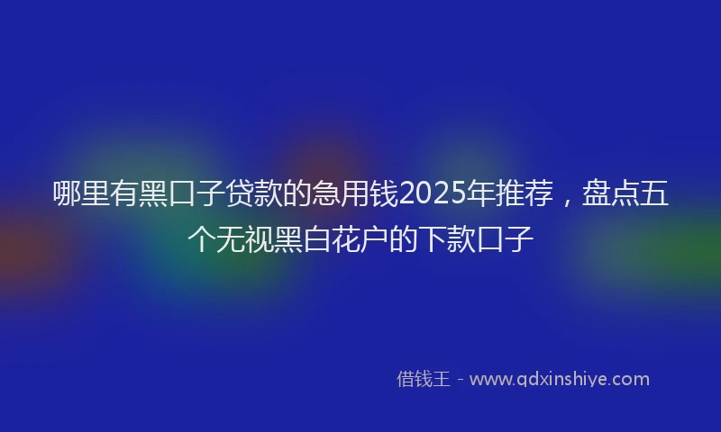 哪里有黑口子贷款的急用钱2025年推荐，盘点五个无视黑白花户的下款口子