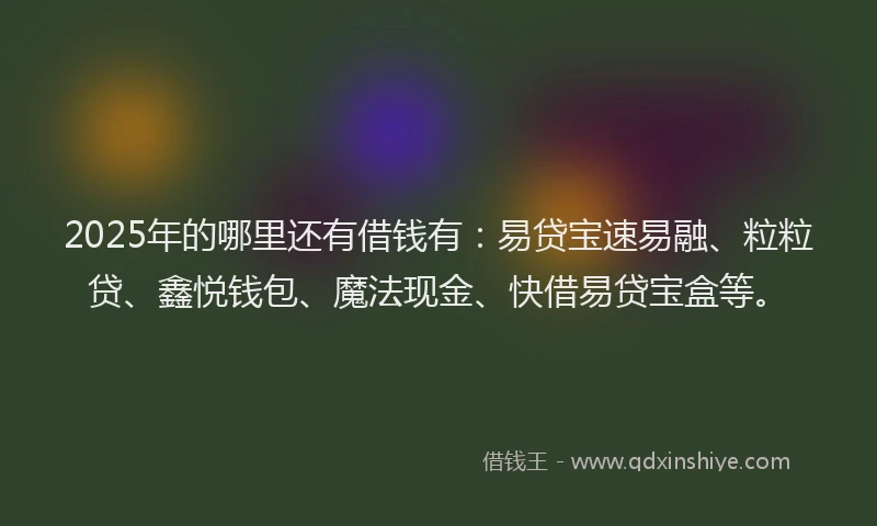 2025年的哪里还有借钱有：易贷宝速易融、粒粒贷、鑫悦钱包、魔法现金、快借易贷宝盒等。