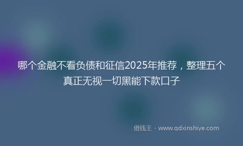 哪个金融不看负债和征信2025年推荐，整理五个真正无视一切黑能下款口子