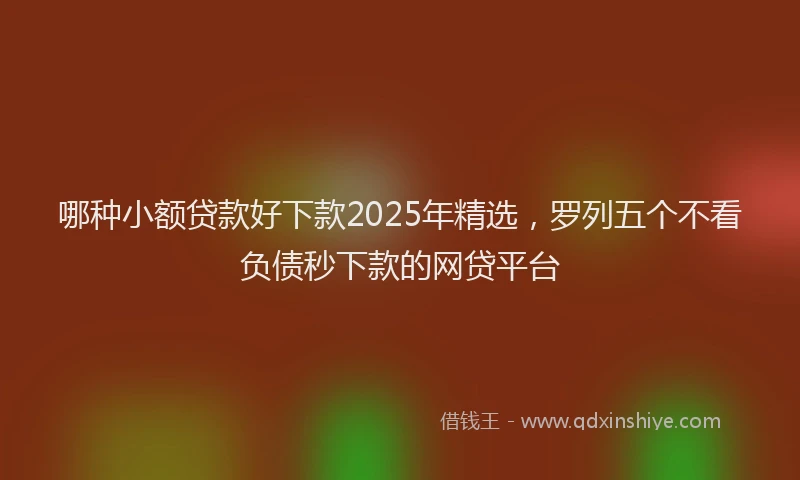 哪种小额贷款好下款2025年精选，罗列五个不看负债秒下款的网贷平台