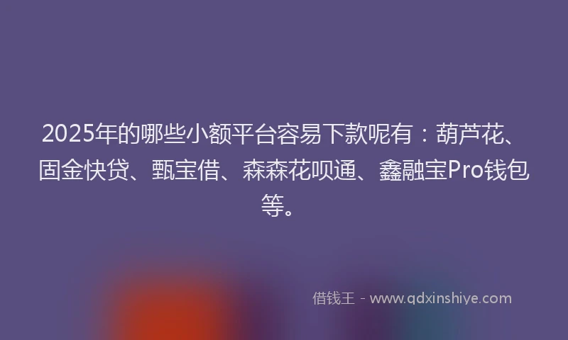 2025年的哪些小额平台容易下款呢有：葫芦花、固金快贷、甄宝借、森森花呗通、鑫融宝Pro钱包等。