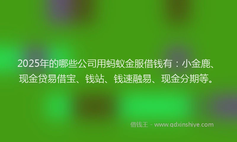 2025年的哪些公司用蚂蚁金服借钱有：小金鹿、现金贷易借宝、钱站、钱速融易、现金分期等。