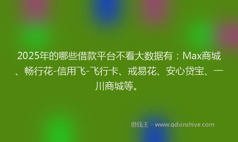 2025年的哪些借款平台不看大数据有：Max商城、畅行花-信用飞-飞行卡、戒易花、安心贷宝、一川商城等。