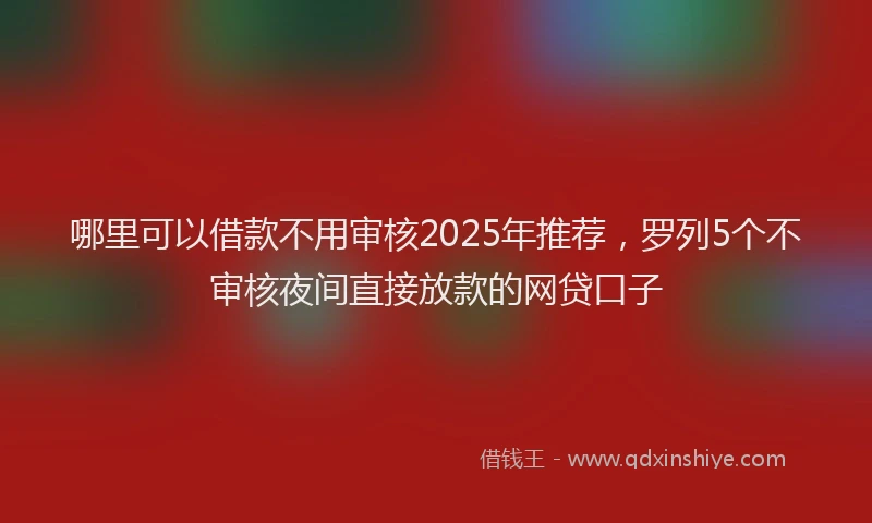 哪里可以借款不用审核2025年推荐，罗列5个不审核夜间直接放款的网贷口子