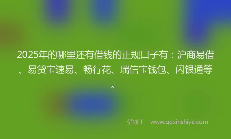2025年的哪里还有借钱的正规口子有：沪商易借、易贷宝速易、畅行花、瑞信宝钱包、闪银通等。