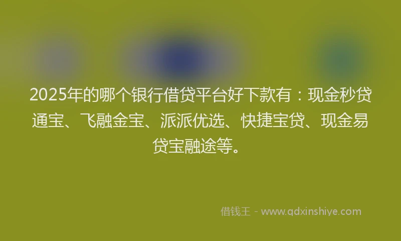 2025年的哪个银行借贷平台好下款有：现金秒贷通宝、飞融金宝、派派优选、快捷宝贷、现金易贷宝融途等。