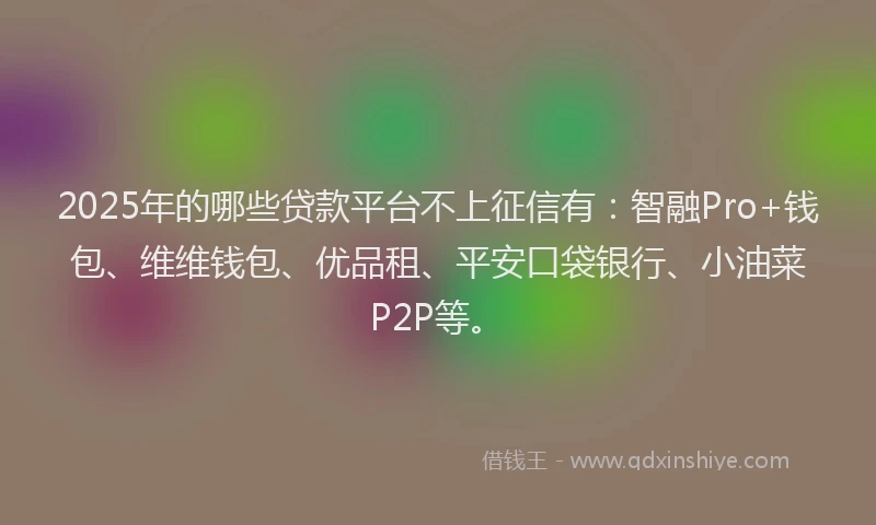 2025年的哪些贷款平台不上征信有：智融Pro+钱包、维维钱包、优品租、平安口袋银行、小油菜P2P等。