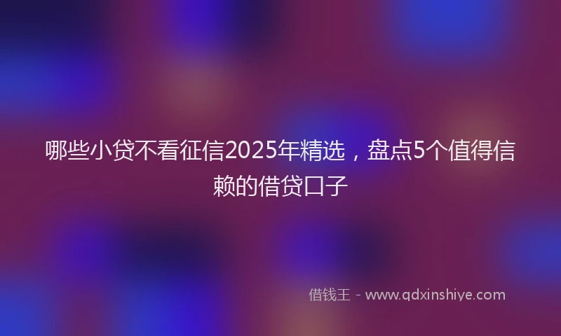 哪些小贷不看征信2025年精选，盘点5个值得信赖的借贷口子