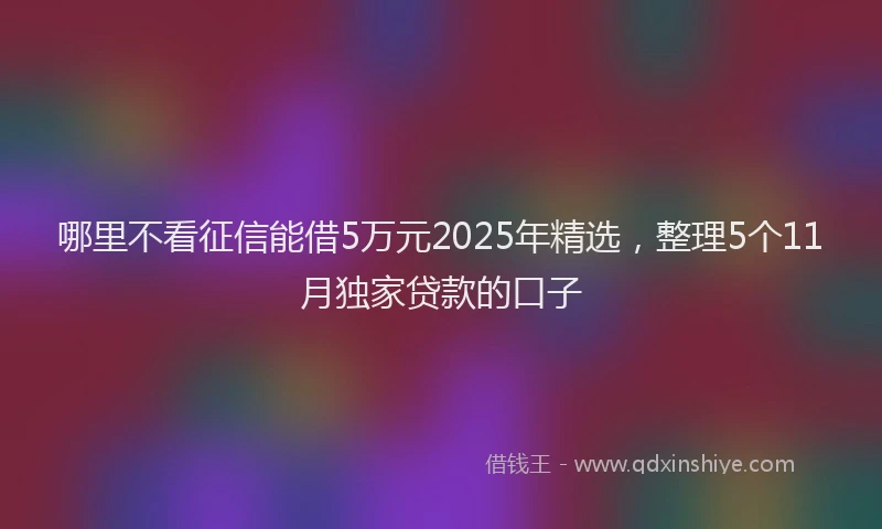 哪里不看征信能借5万元2025年精选，整理5个11月独家贷款的口子