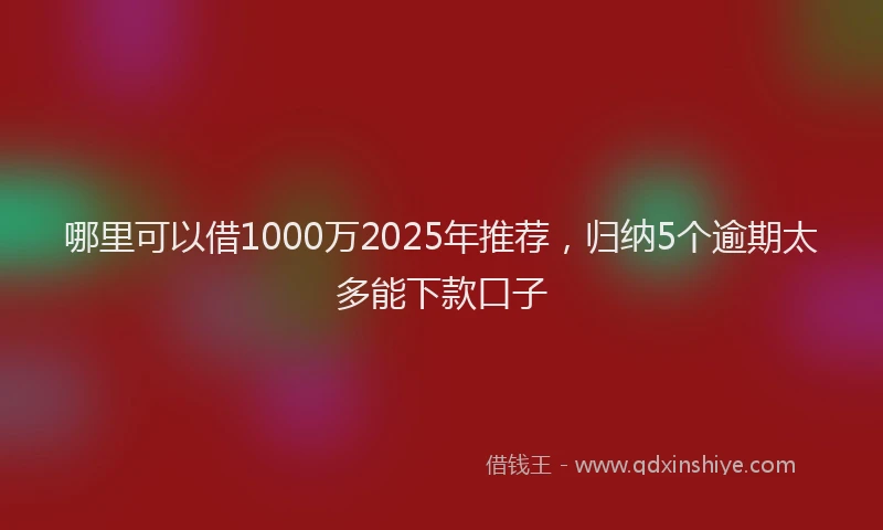 哪里可以借1000万2025年推荐，归纳5个逾期太多能下款口子