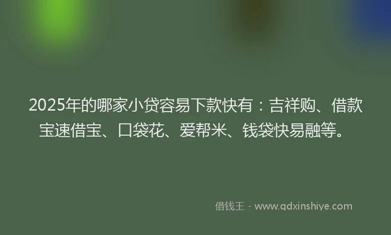 2025年的哪家小贷容易下款快有：吉祥购、借款宝速借宝、口袋花、爱帮米、钱袋快易融等。