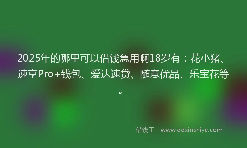 2025年的哪里可以借钱急用啊18岁有：花小猪、速享Pro+钱包、爱达速贷、随意优品、乐宝花等。