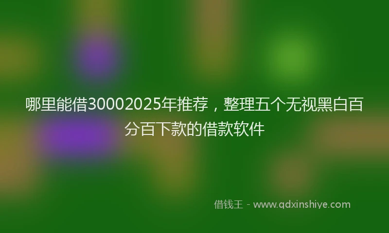 哪里能借30002025年推荐，整理五个无视黑白百分百下款的借款软件