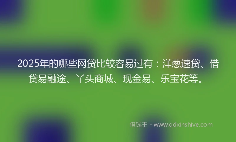 2025年的哪些网贷比较容易过有：洋葱速贷、借贷易融途、丫头商城、现金易、乐宝花等。