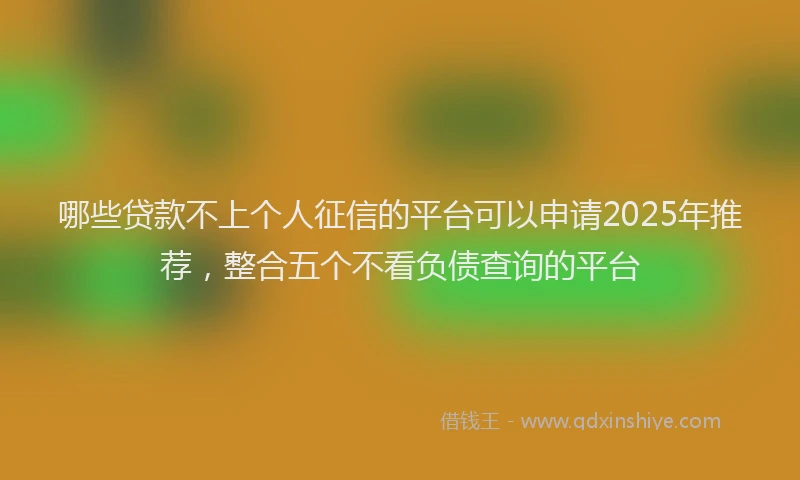 哪些贷款不上个人征信的平台可以申请2025年推荐,整合五个不看负债查询的平台