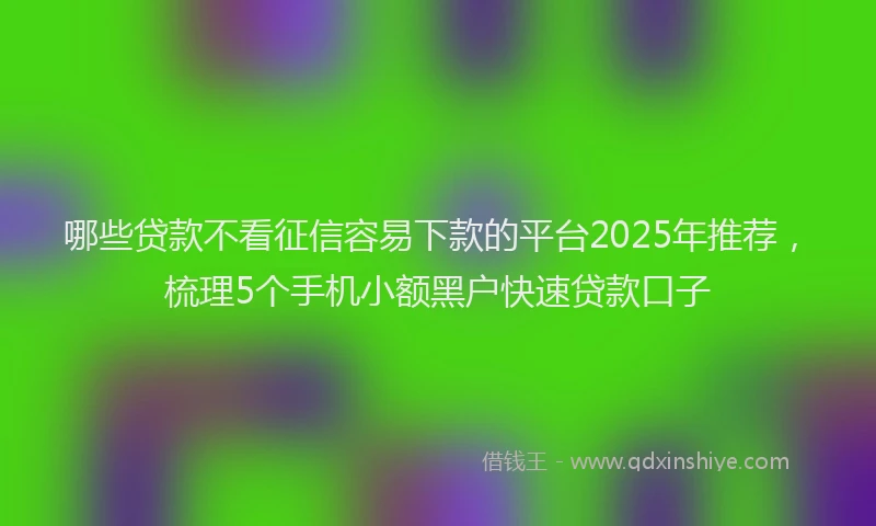 哪些贷款不看征信容易下款的平台2025年推荐,梳理5个手机小额黑户快速贷款口子