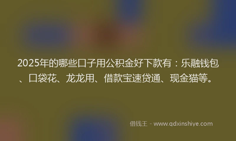 2025年的哪些口子用公积金好下款有：乐融钱包、口袋花、龙龙用、借款宝速贷通、现金猫等。