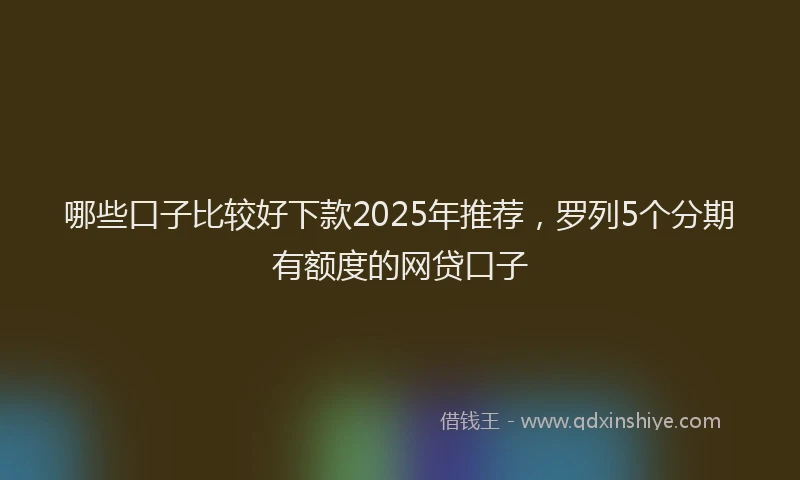 哪些口子比较好下款2025年推荐，罗列5个分期有额度的网贷口子