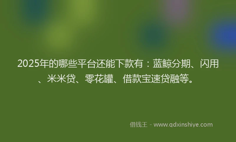 2025年的哪些平台还能下款有：蓝鲸分期、闪用、米米贷、零花罐、借款宝速贷融等。
