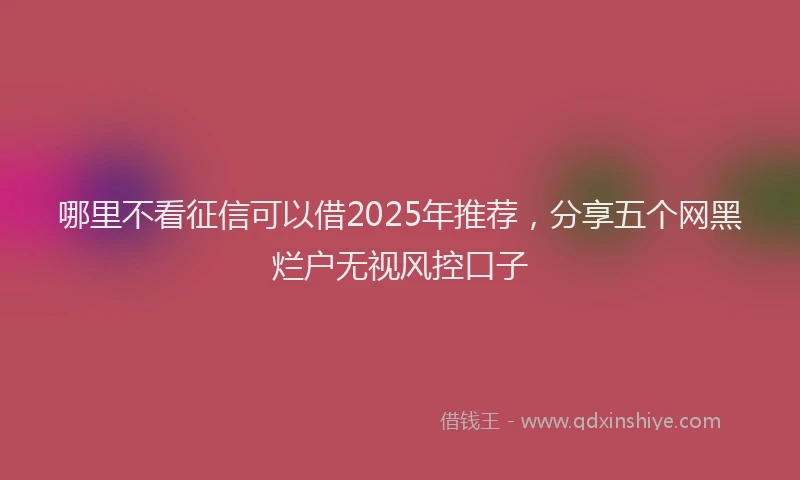 哪里不看征信可以借2025年推荐，分享五个网黑烂户无视风控口子