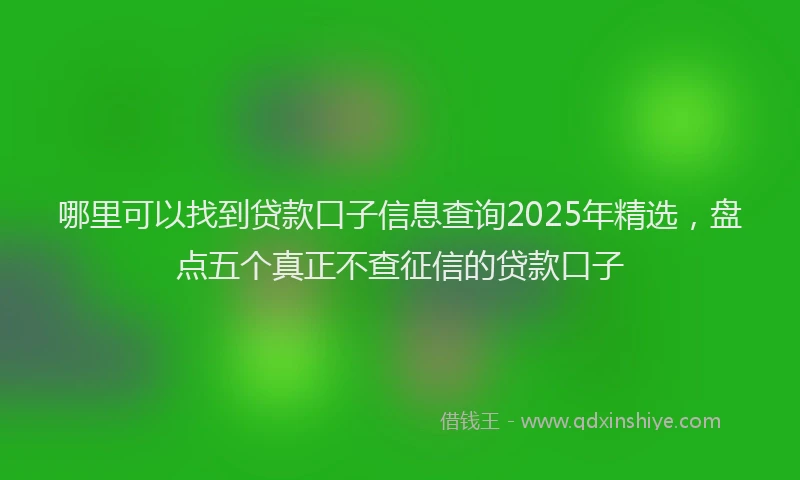 哪里可以找到贷款口子信息查询2025年精选，盘点五个真正不查征信的贷款口子