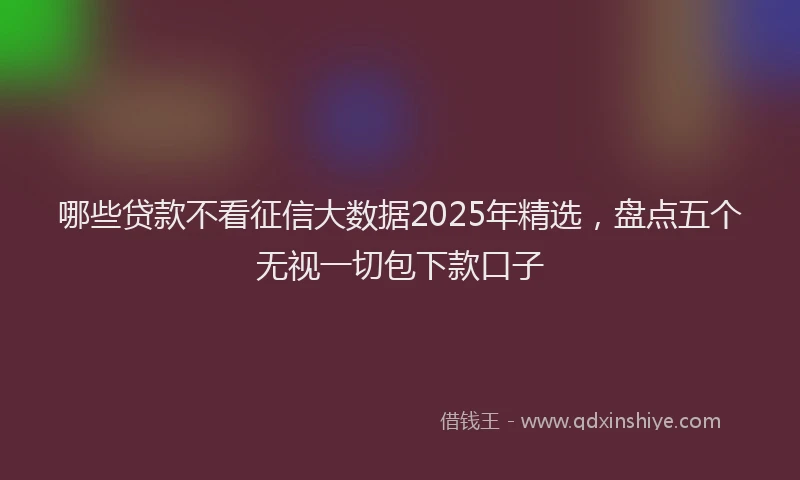 哪些贷款不看征信大数据2025年精选，盘点五个无视一切包下款口子