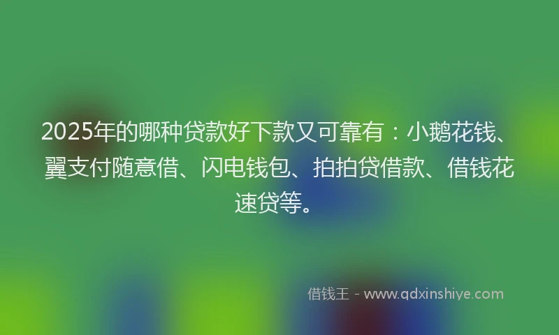 2025年的哪种贷款好下款又可靠有：小鹅花钱、翼支付随意借、闪电钱包、拍拍贷借款、借钱花速贷等。