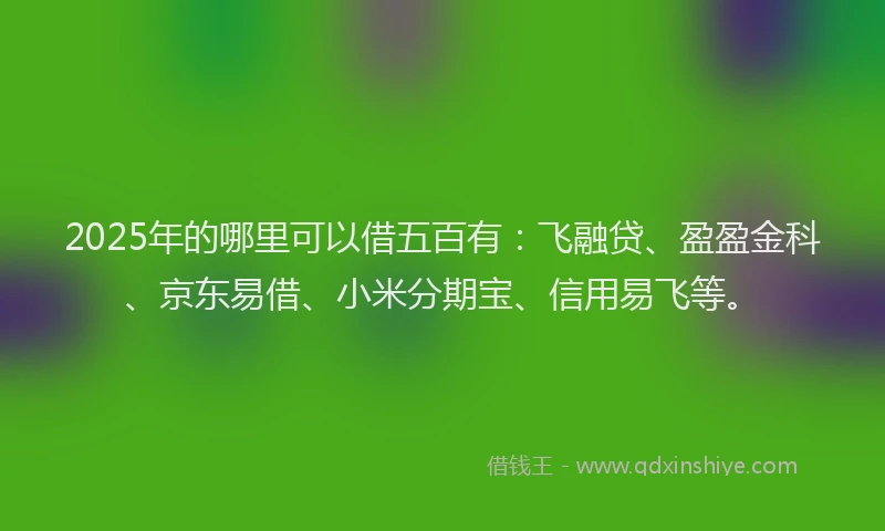 2025年的哪里可以借五百有：飞融贷、盈盈金科、京东易借、小米分期宝、信用易飞等。