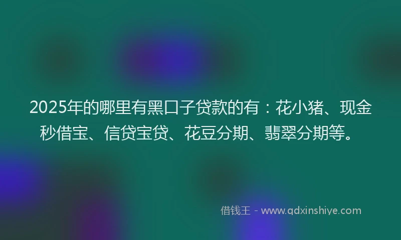 2025年的哪里有黑口子贷款的有：花小猪、现金秒借宝、信贷宝贷、花豆分期、翡翠分期等。
