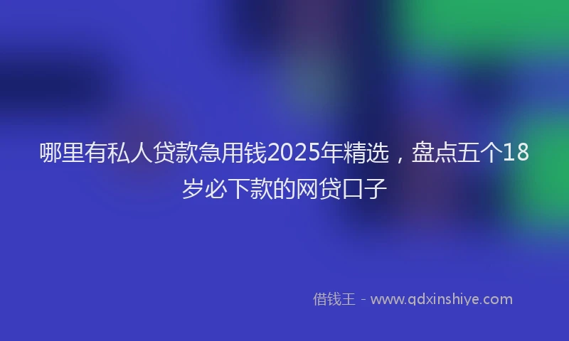哪里有私人贷款急用钱2025年精选，盘点五个18岁必下款的网贷口子