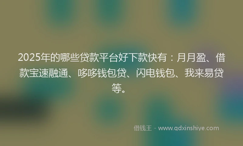 2025年的哪些贷款平台好下款快有：月月盈、借款宝速融通、哆哆钱包贷、闪电钱包、我来易贷等。
