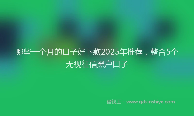 哪些一个月的口子好下款2025年推荐，整合5个无视征信黑户口子