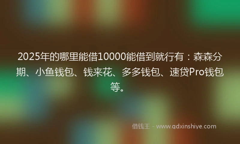 2025年的哪里能借10000能借到就行有：森森分期、小鱼钱包、钱来花、多多钱包、速贷Pro钱包等。