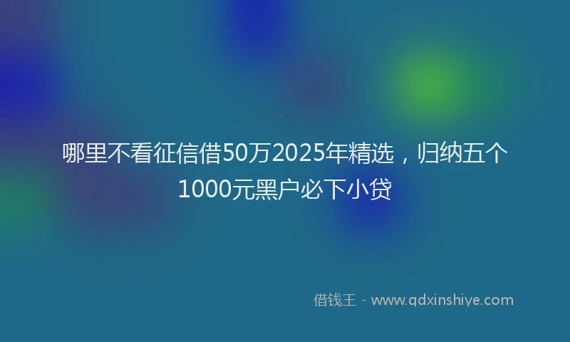 哪里不看征信借50万2025年精选，归纳五个1000元黑户必下小贷