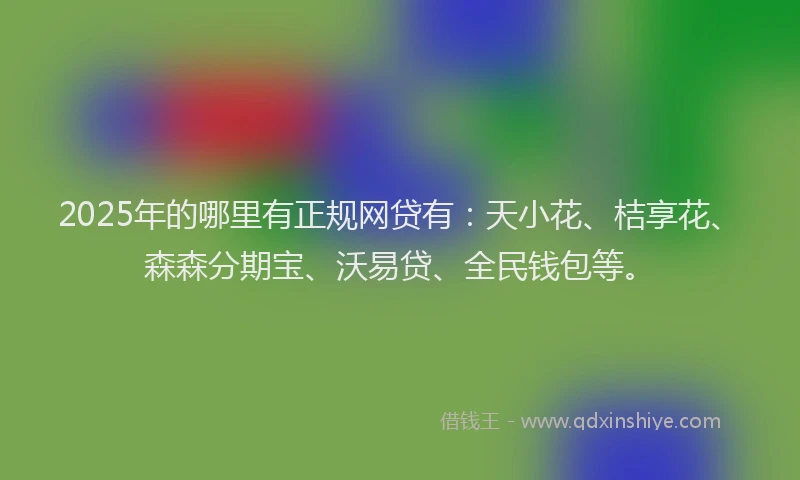 2025年的哪里有正规网贷有:天小花、桔享花、森森分期宝、沃易贷、全民钱包等。