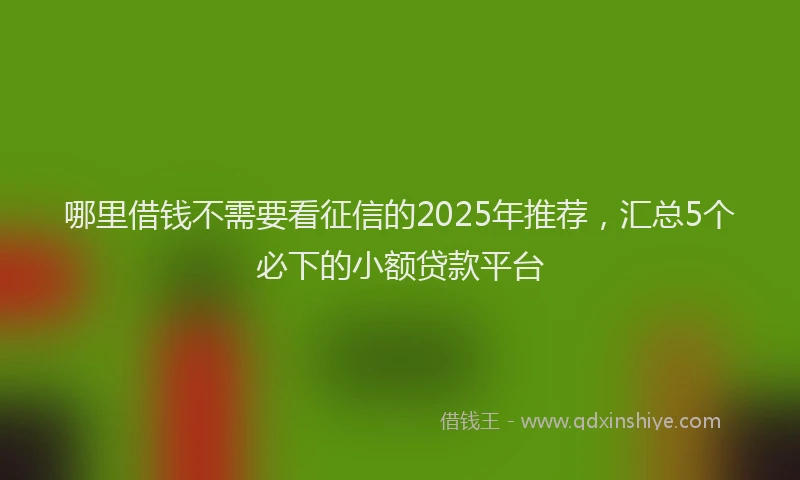 哪里借钱不需要看征信的2025年推荐，汇总5个必下的小额贷款平台