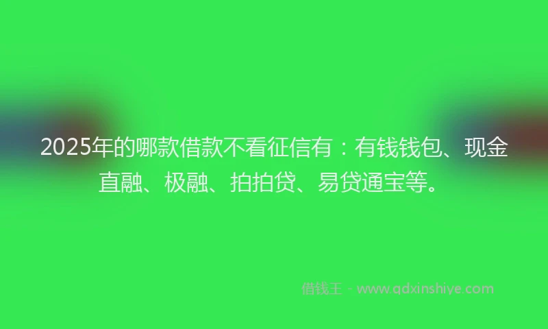 2025年的哪款借款不看征信有：有钱钱包、现金直融、极融、拍拍贷、易贷通宝等。