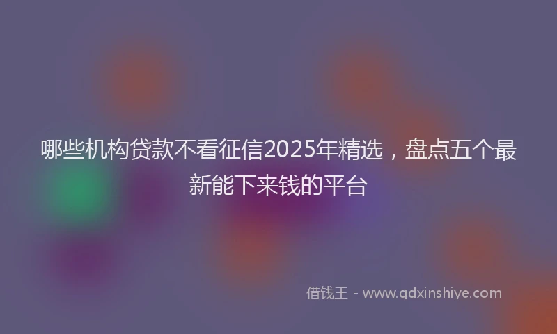 哪些机构贷款不看征信2025年精选，盘点五个最新能下来钱的平台