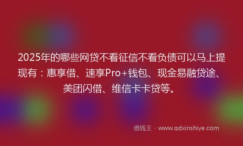 2025年的哪些网贷不看征信不看负债可以马上提现有：惠享借、速享Pro+钱包、现金易融贷途、美团闪借、维信卡卡贷等。